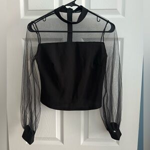 Sheer Sleeve Top